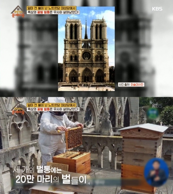 '옥탑방의 문제아들'에서는 노트르담 대성당 화재와 관련된 문제가 출제됐다. 방송 캡처