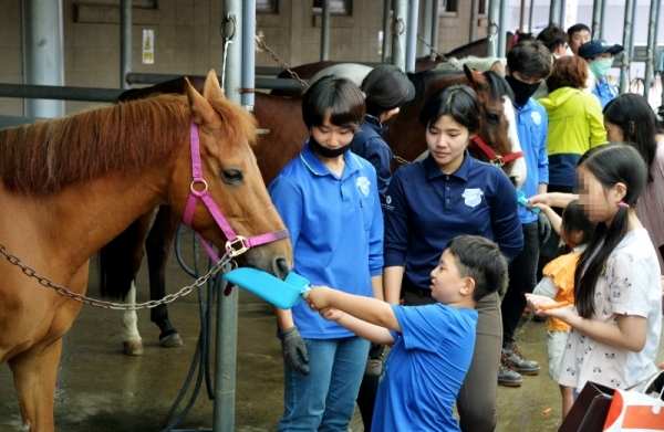 8일 오후 과천 한국마사회에서 열린 2019 경마공원 콘서트와 연계로 '난치성질환 소아환자 초청 기부금 전달식'에서 말먹이 주기 행사에 참여한 어린이들이 먹이를 주며 즐거워하고 있다. 윤원규기자