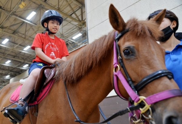 8일 오후 과천 한국마사회에서 열린 2019 경마공원 콘서트와 연계로 '난치성질환 소아환자 초청 기부금 전달식'에 참가한 어린이들이 재활힐링승마센터에서 승마체험을 하고 있다. 윤원규기자