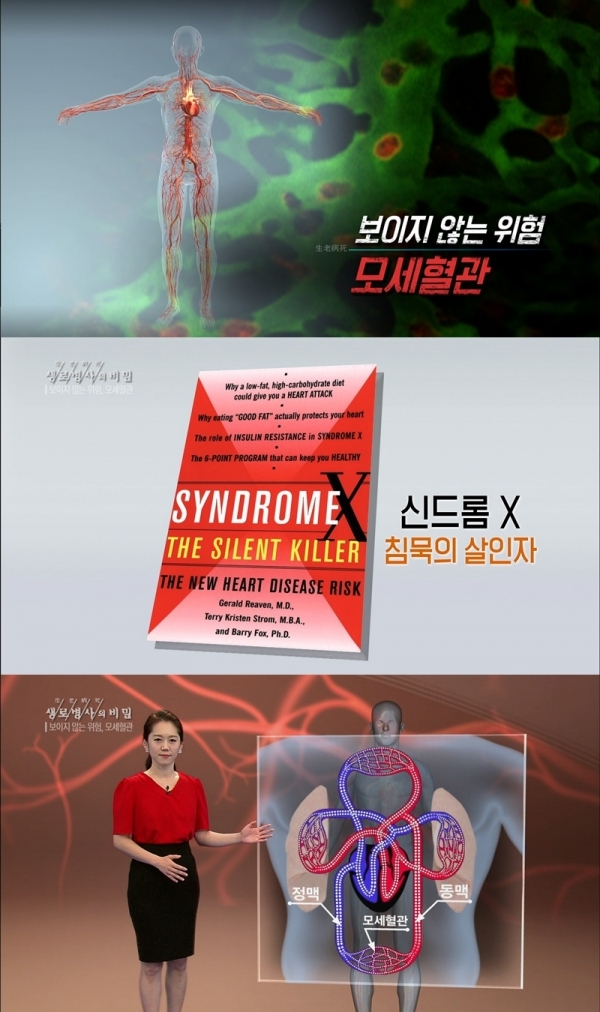 '생로병사의 비밀'에서는 모세혈관의 건강을 지키기 위한 방법이 무엇인지 알아본다. KBS 1TV