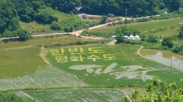 12일 파주 민통선 도라전망대 일원의 논에서 서로 다른색의 모를 심어 논아트(art)를 만드는 '평화를 심는 DMZ 모내기'행사가 열렸다. 참가자들이 완성한 논아트를 도라전망대에서 바라보았다. 윤원규기자