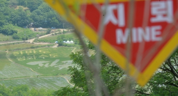 12일 파주 민통선 도라전망대 일원의 논에서 서로 다른색의 모를 심어 논아트(art)를 만드는 '평화를 심는 DMZ 모내기'행사가 열렸다. 참가자들이 완성한 논아트를 도라전망대에서 바라보았다. 윤원규기자