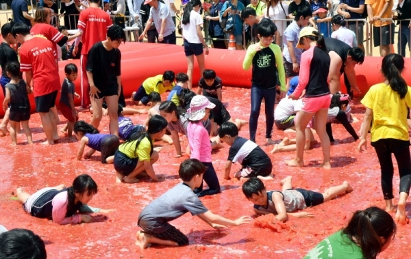 ‘제17회 퇴촌 토마토 축제’가 16일 광주시 퇴촌면 공설운동장에서 열려 가족들과 함께 행사장을 찾은 어린이들이 토마토풀장에서 열린 “황금토마토를 찾아라!”이벤트 행사에서 보물찾기를 하며 즐거워하고 있다.전형민기자
