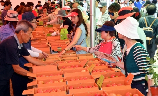 16일 광주시 퇴촌면 공설운동장에서 열린‘제17회 퇴촌 토마토 축제’ 행사장이 맞좋고 질좋은 명품 토마토를 저렴한 가격에 구입하려는 시민들로 붐비고 있다.전형민기자