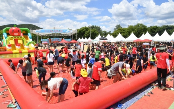 ‘제17회 퇴촌 토마토 축제’가 16일 광주시 퇴촌면 공설운동장에서 열려 가족들과 함께 행사장을 찾은 어린이들이 토마토풀장에서 열린 “황금토마토를 찾아라!”이벤트 행사에서 보물찾기를 하며 즐거워하고 있다.전형민기자
