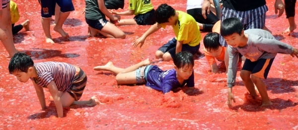 ‘제17회 퇴촌 토마토 축제’가 16일 광주시 퇴촌면 공설운동장에서 열려 가족들과 함께 행사장을 찾은 어린이들이 토마토풀장에서 열린 “황금토마토를 찾아라!”이벤트 행사에서 보물찾기를 하며 즐거워하고 있다.전형민기자