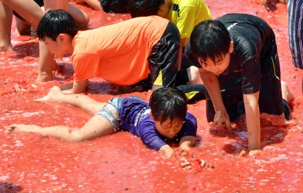‘제17회 퇴촌 토마토 축제’가 16일 광주시 퇴촌면 공설운동장에서 열려 가족들과 함께 행사장을 찾은 어린이들이 토마토풀장에서 열린 “황금토마토를 찾아라!”이벤트 행사에서 보물찾기를 하며 즐거워하고 있다.전형민기자