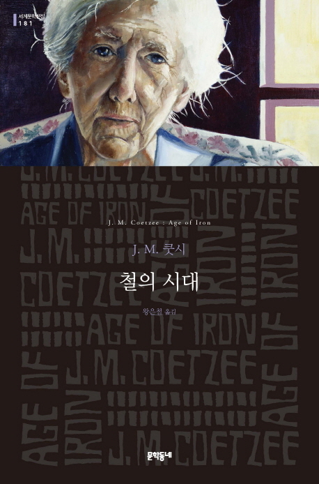 ▲ 철의 시대