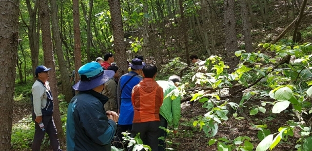 산약초재배 전문인력 참가자들이 산을 오르며 교육받고 있다. 산림청 산림교육원