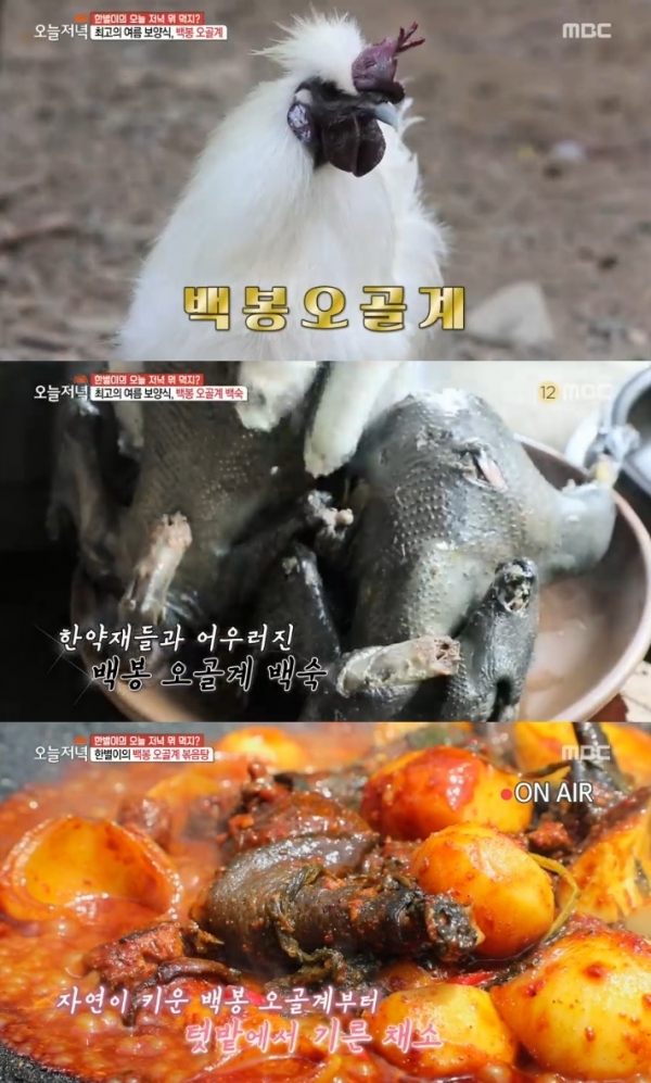 '생방송 오늘저녁'에서는 '한별이의 오늘 저녁 뭐 먹지?' 코너를 통해 백봉오골계가 소개됐다. 방송 캡처
