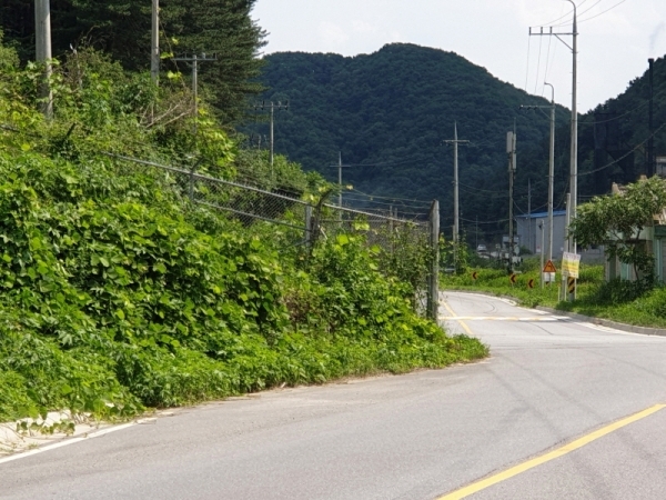철조망과 나무로 시야가 가려져 건너 도로가 아슬란이 보인다