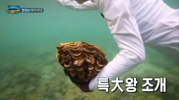 '정글의 법칙'에 출연한 배우 이열음이 논란이 된 대왕조개를 채취한 모습. SBS