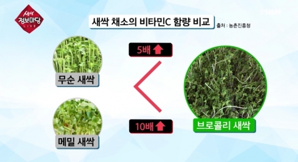 '생생 정보마당'에 소개된 브로콜리 새싹. MBN