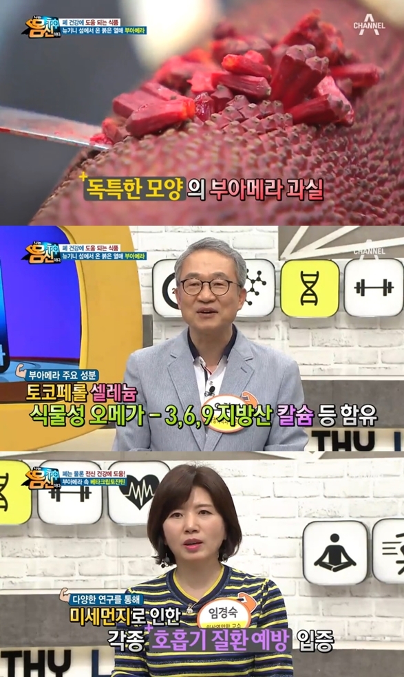 채널A'나는몸신이다'방송화면