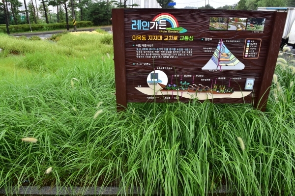 이목동 지지대교차로에 조성한 레인가든.