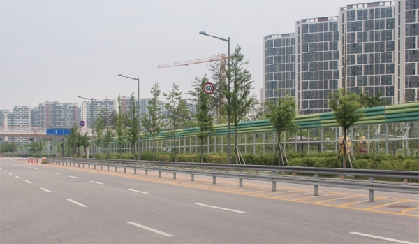 학교부지