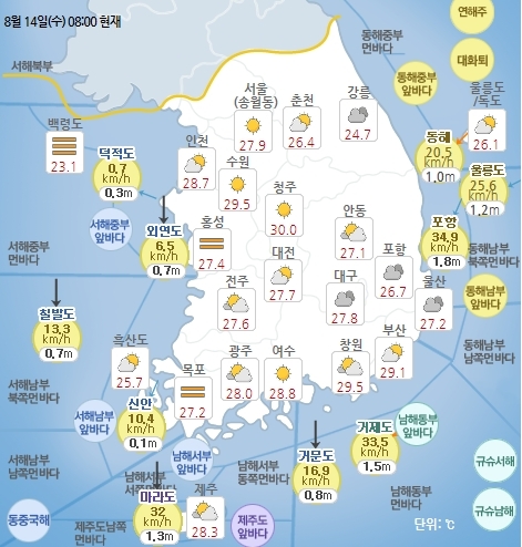 8월 14일 오전 8시 기준 날씨 현황. 기상청 홈페이지