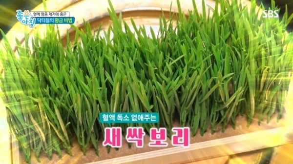 sbs'좋은아침' 방송화면