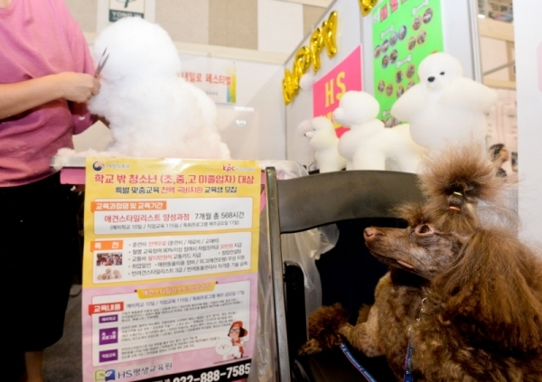 21일 오전 용인대학교에서 열린 '제2회 꿈울림 진로페스티벌'에서 애견 미용 시범에서 강아지가 인형을 보고 있다.  꿈울림은 도내 31개 학교밖청소년지원센터가 어울려 꿈을 울린다는 의미다. 윤원규기자