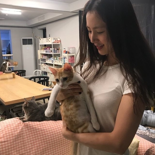 한채아가 SNS를 통해 근황을 공개했다. 한채아 인스타그램