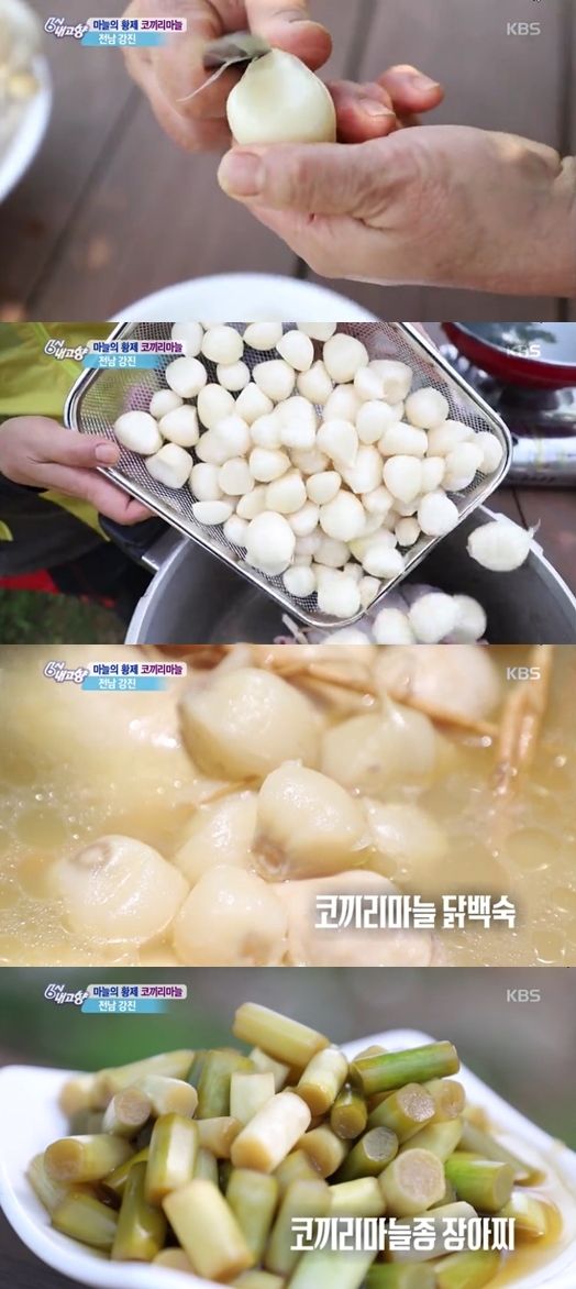 kbs'6시내고향' 방송화면