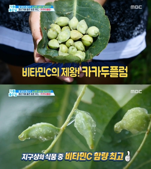 mbc'기분좋은날' 방송화면