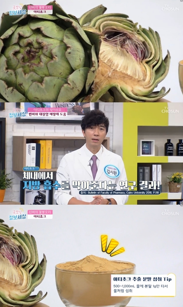 tv조선 '굿모닝 정보세상' 방송화면