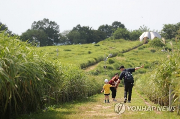 나들이하기 딱 좋은 날씨무더위가 한풀 꺾인 2019년 8월 25일 오후 서울 마포구 하늘공원에서 시민들이 나들이를 즐기고 있다. [연합뉴스 자료사진]