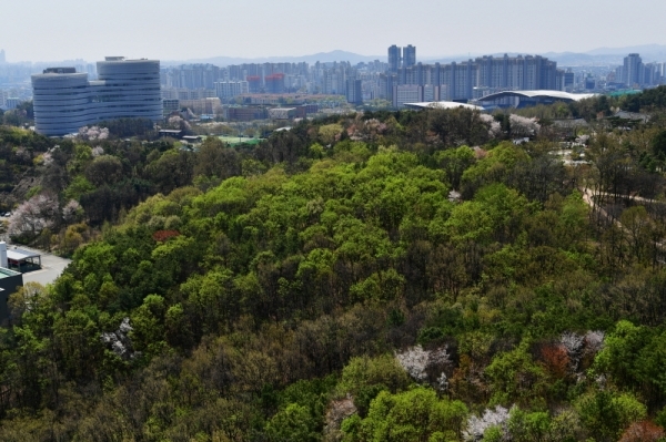 이의동 일원 도시숲.