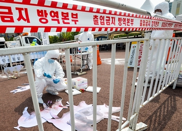 지난 6월 인천 계양구 서운체육공원에서 열린 '아프리카돼지열병(ASF) 가상방역훈련' 모습. 경기일보DB