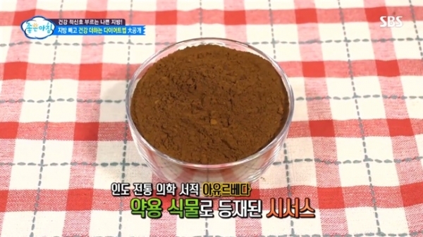 '좋은아침'에 소개된 시서스. SBS