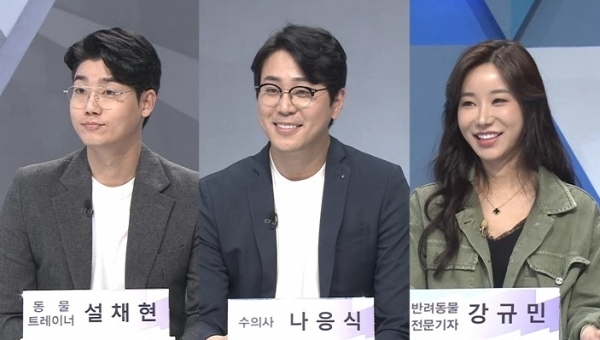 '쿨까당'에서는 반려동물 인구 천만시대를 맞이해 반려견과 반려묘에 대한 다양한 이야기를 나눠본다. 방송 캡처