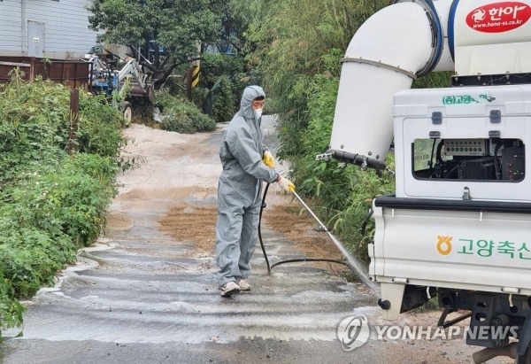 농협은행 고양시지부(지부장 김재득)는 20일 경기도 고양시 송포 양돈단지에서 고양축협과 아프리카돼지열병(ASF) 차단 방역을 벌였다고 밝혔다.[농협 고양시지부 제공. 재판매 및 DB 금지]