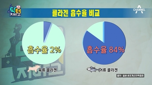 '닥터 지바고'에서 어류 콜라겐에 대한 다양한 정보를 제공했다. 채널A
