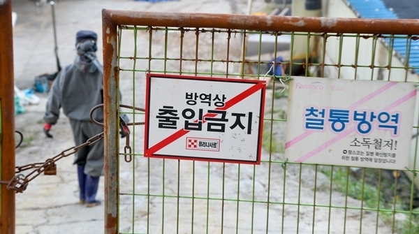 지난 18일 파주시 법원읍의 한 돼지농장에서 인부가 문을 잠그며 농장의 방역을 위해 출입을 제한하고 있다. 윤원규기자