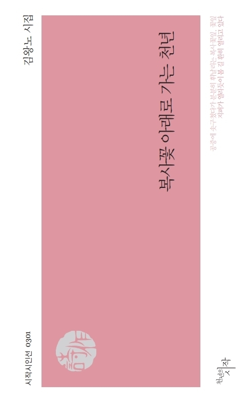 ▲ 5-김왕노 시집 표지-복사꽃 아래로 천년-