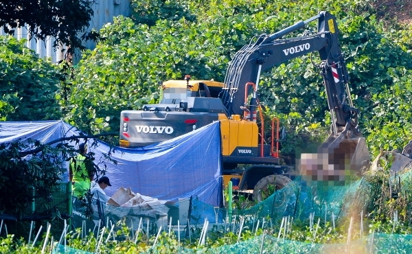 인천 강화도에서 아프리카 돼지열병 확산으로 모든 농가 돼지들의 살처분이 진행된 29일 오후 강화군 양도면의 한 돼지농가에서 방역관계자들이 살처분 작업을 하고 있다. 윤원규기자