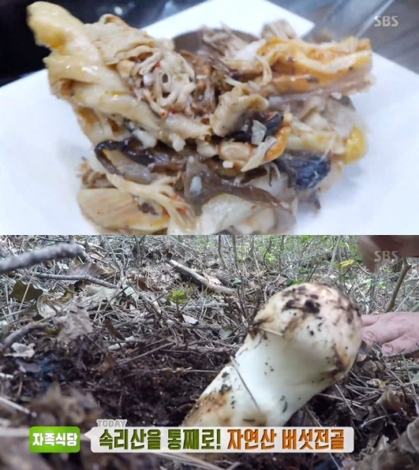'생방송 투데이'에서는 '자족식당' 코너를 통해 자연산 버섯전골이 소개됐다. 방송 캡처