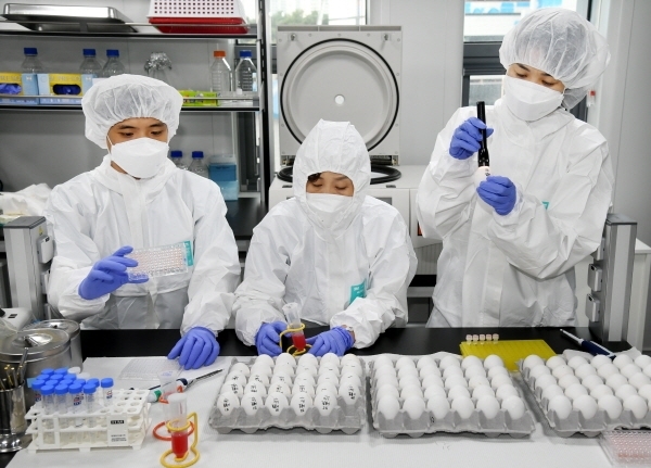 1일 경기도동물위생시험소에서 조류질병대응팀 관계자들이 도내 가금류 농장에서 수거된 달걀에 대해 조류인플루엔자(AI) 검사를 하고 있다. 현재 아프리카돼지열병(ASF) 차단방역에 총력을 기울이고 있는 경기도는 이날부터 내년 2월까지 조류인플루엔자(AI)·구제역 등 동물 질병을 막기 위해  '심각단계'에 준하는 '특별방역기간'에 돌입했다. 김시범기자