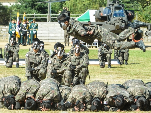 9일 오전 인천 부평구 육군 제17보병사단에서 열린 '호국문예행사'에서 17사단 수색대대가 특공무술 시범을 선보이고 있다.조주현기자