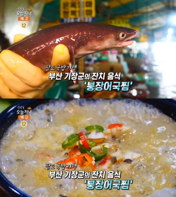'생방송 오늘저녁'에서는 '팔도 국밥 기행' 코너를 통해 붕장어국찜이 소개됐다. 방송 캡처