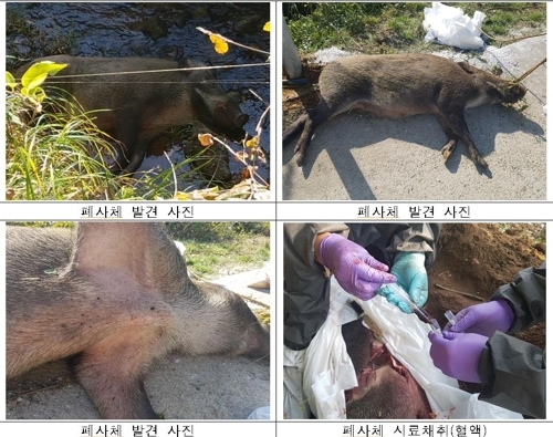 [환경부 제공]