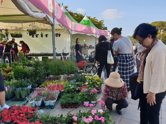 ▲ 산하기관1 가을낭만에 흠뻑, 고양가을꽃축제 12만명 다녀가2