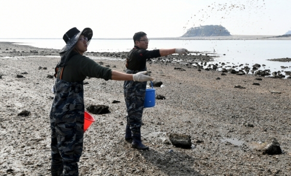 경기도 해양수산자원연구소 관계자들이 17일 안산시 대부도동 갯벌에서 연구소가 인공종묘로  생산한 바지락 치패(새끼조개) 80만 마리를 첫 방류하고 있다. 이번에 방류한 바지락 종자는  바지락 자원의 복원을 위해 경기만에서 우량 어미를 채취, 인위적인 산란을 통해 얻은 우량 치패로 방류 후 2년이 지나면 상품성을 갖게된다. 김시범기자
