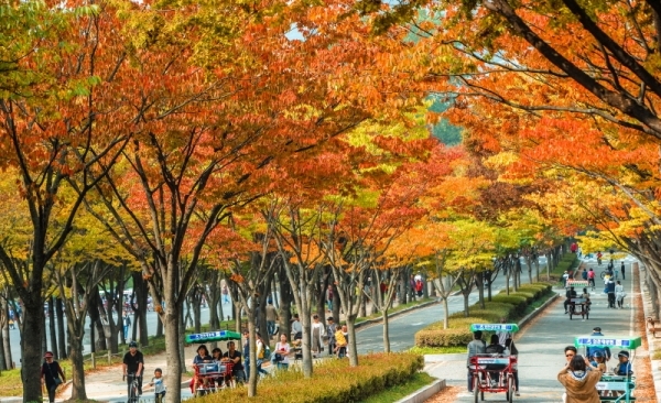 20일 오후 인천대공원에서 시민이 붉게 물든 단풍을 감상하며 가을 정취를 즐기고 있다.조주현기자