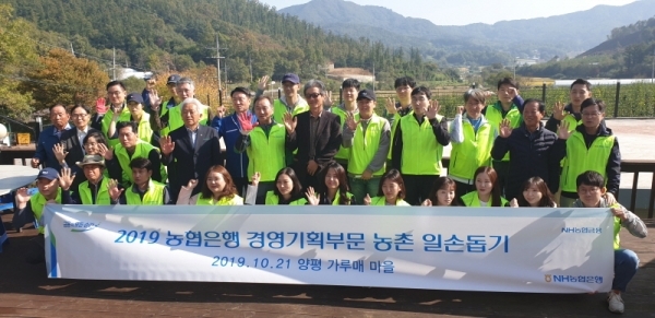 농협양평군지부와 농협은행 직원들이 농촌일손돕기 봉사활동을 실시했다.