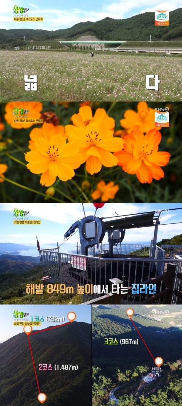 '생생정보'에서는 '이PD가 간다' 코너를 통해 경상남도 하동의 가을 명소가 소개됐다. 방송 캡처