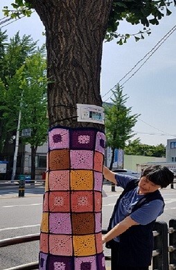 ▲ 광명시 철산2동 주민이 가로수에 뜨개옷을 입히고 있다. 광명시 제공
