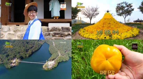 '생생정보'에서는 '지금이 딱! 이 PD가 간다' 코너를 통해 장성군 가을 명소들이 소개됐다. 방송 캡처