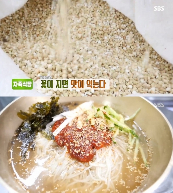 '생방송 투데이'에서는 '자족식당' 코너를 통해 메밀 한 상이 소개됐다. 방송 캡처